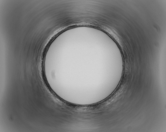 X0000113011093200909241347