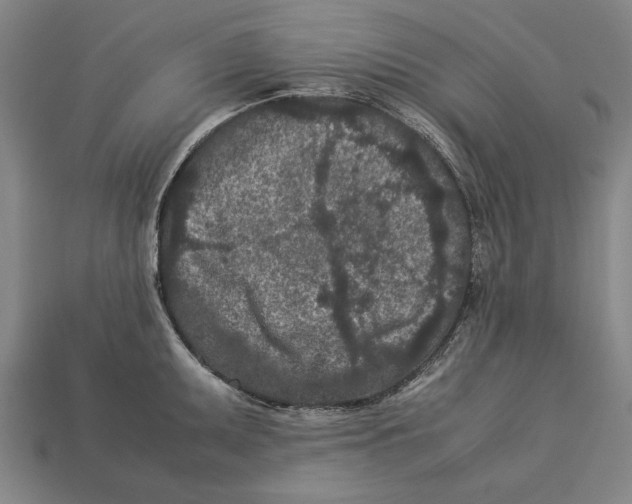 X0000113011095200909241347
