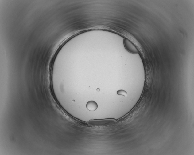 X0000113011096200909241347
