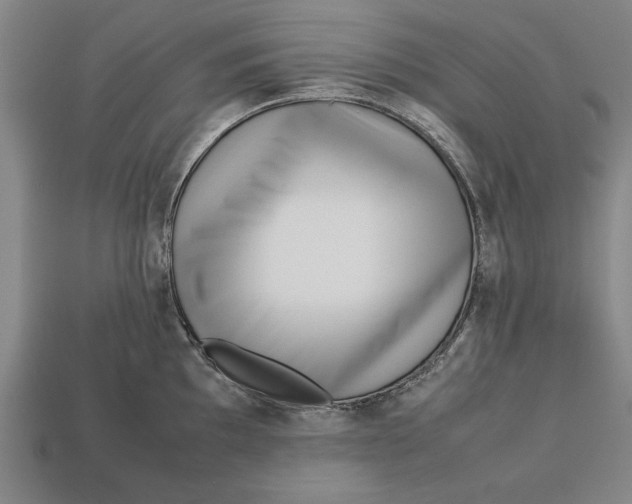 X0000113011097200909241347