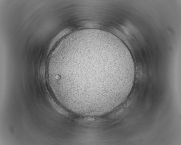 X0000113011098200909241347