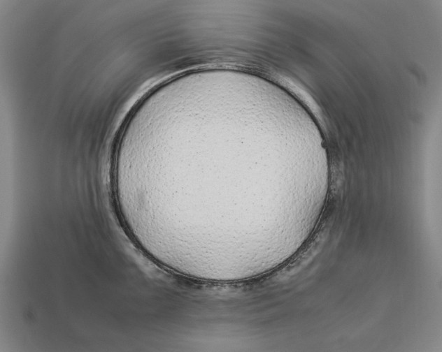 X0000113011099200909241347