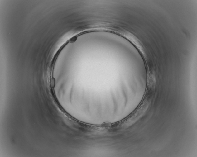 X0000113011101200909241347