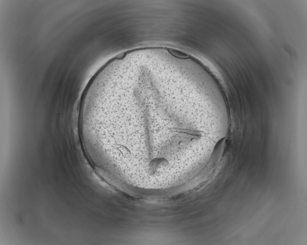 X0000113011102200909241347