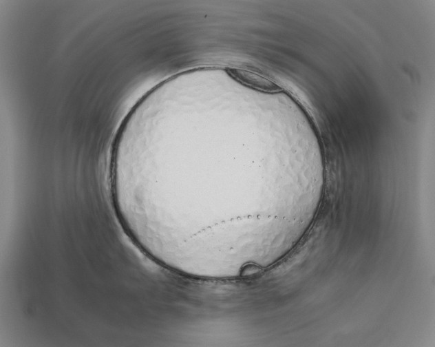 X0000113011103200909241347