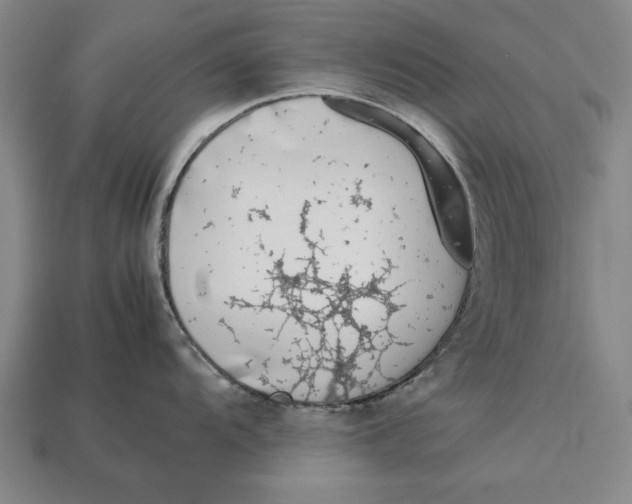 X0000113011104200909241347