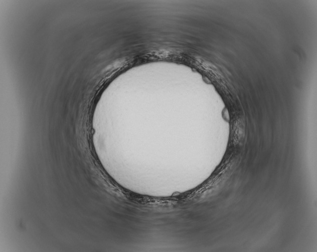 X0000113011105200909241346