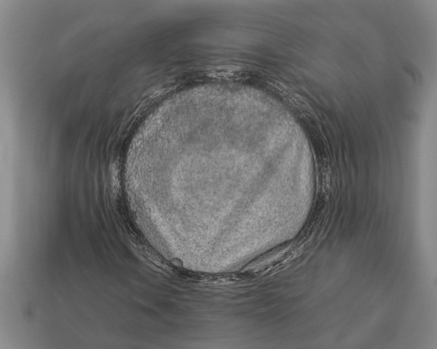 X0000113011106200909241346