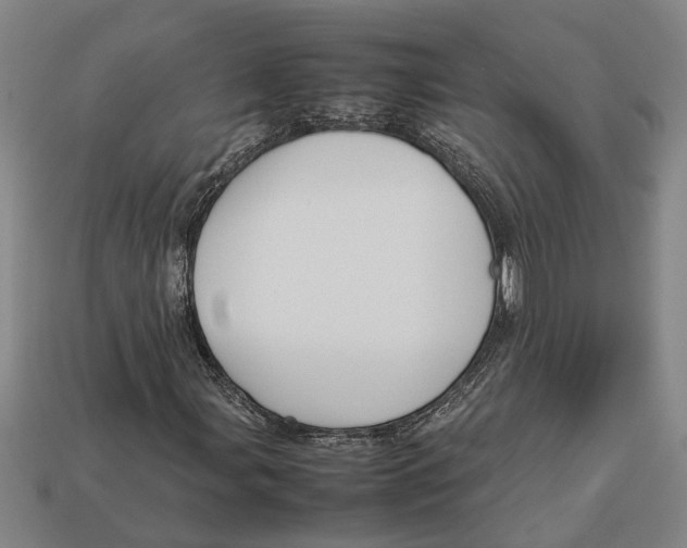 X0000113011107200909241346