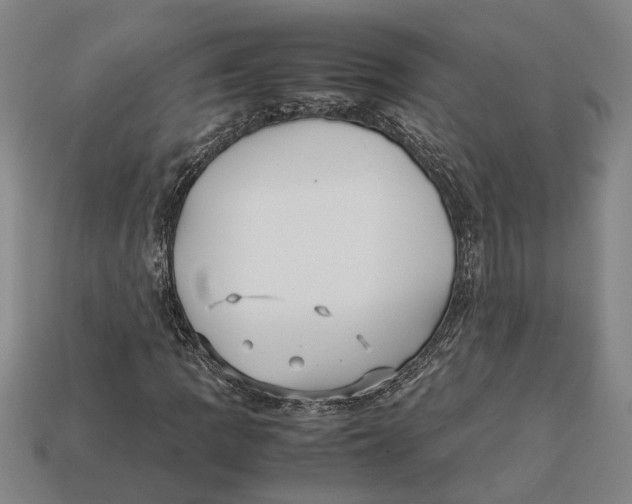X0000113011109200909241346