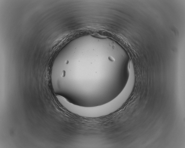 X0000113011110200909241346