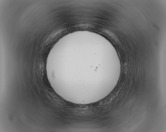 X0000113011111200909241346