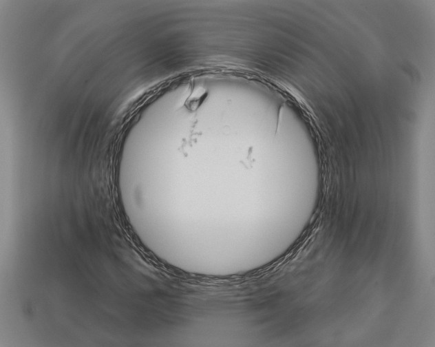 X0000113011112200909241346