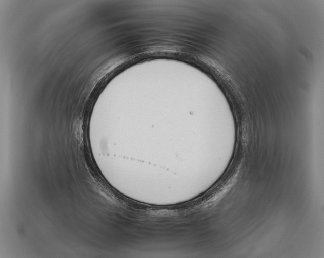 X0000113011113200909241346