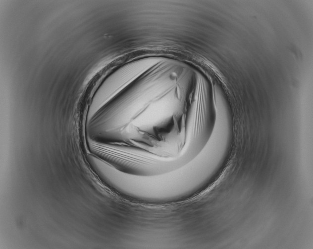 X0000113011114200909241346