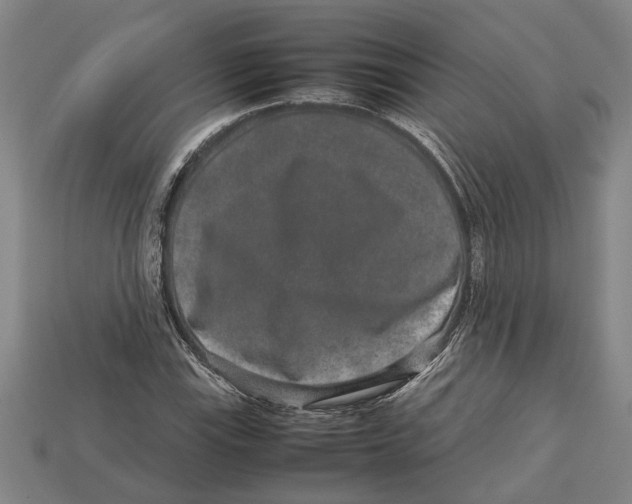 X0000113011115200909241346