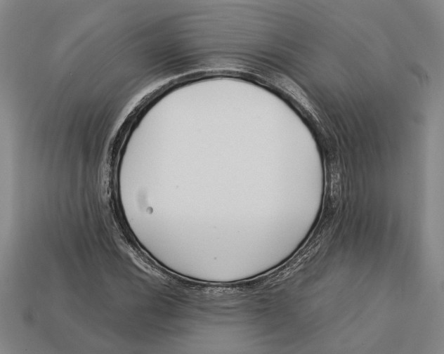 X0000113011116200909241346