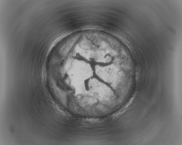 X0000113011117200909241346