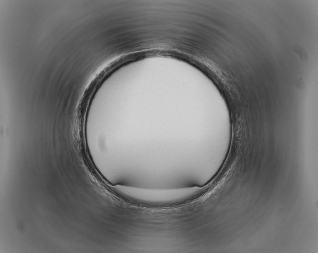 X0000113011118200909241346