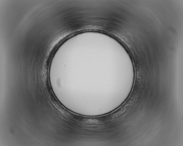 X0000113011119200909241346