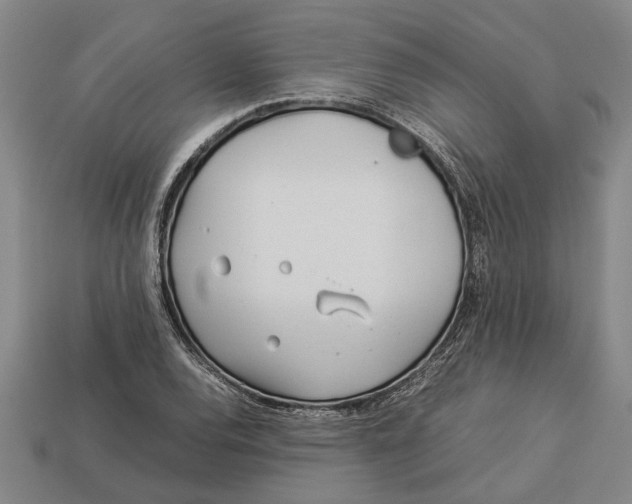 X0000113011120200909241346