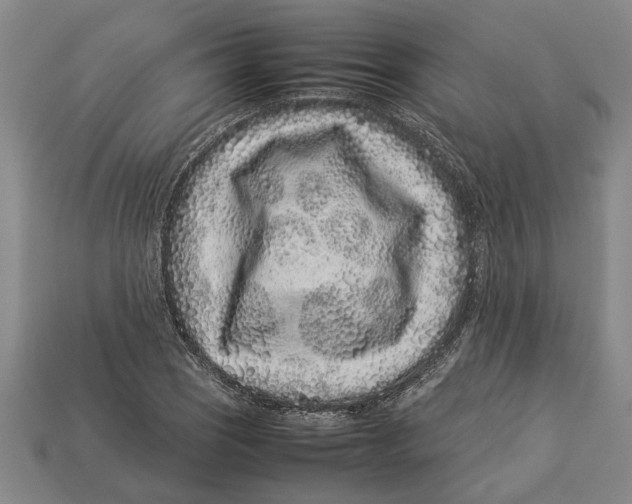 X0000113011121200909241346