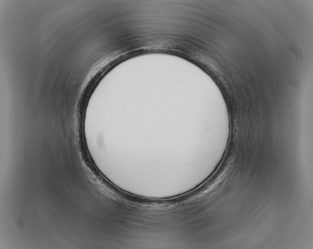 X0000113011122200909241346