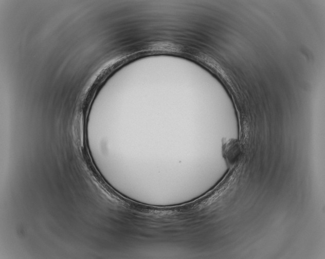X0000113011123200909241346