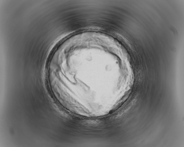 X0000113011125200909241346