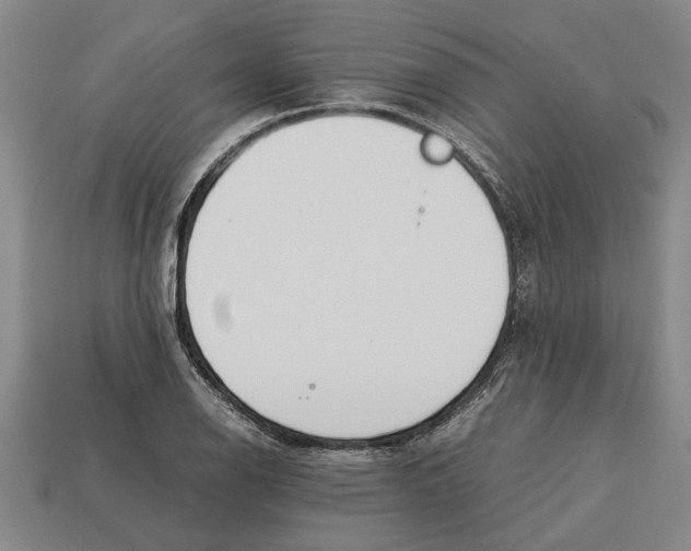 X0000113011126200909241346