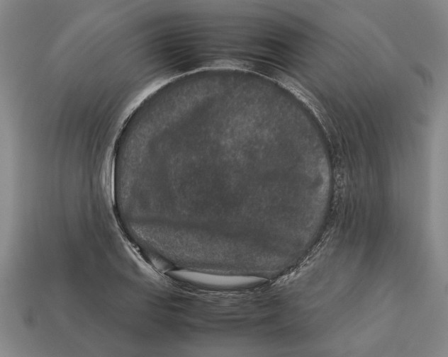 X0000113011127200909241346