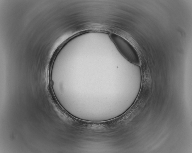 X0000113011128200909241346