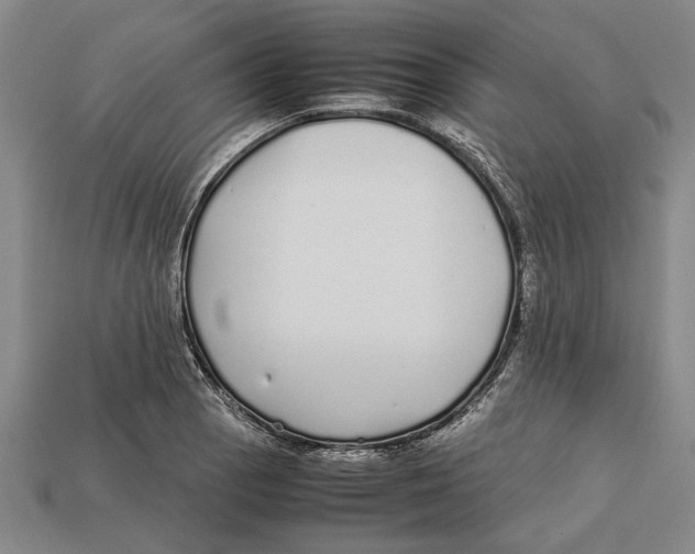 X0000113011129200909241346