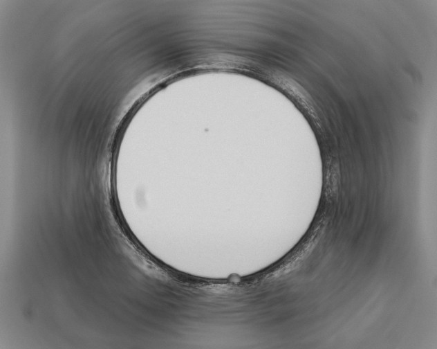 X0000113011130200909241346