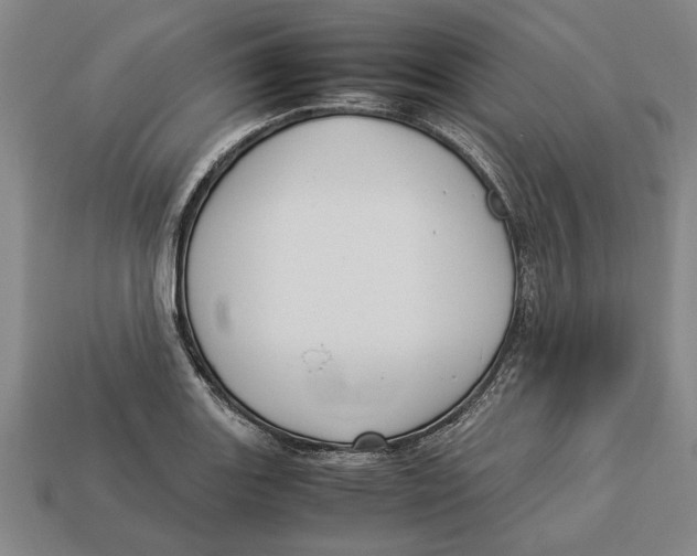 X0000113011131200909241346