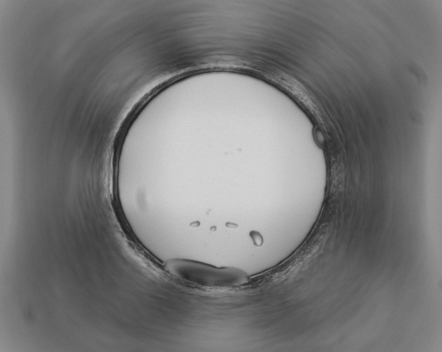 X0000113011132200909241346