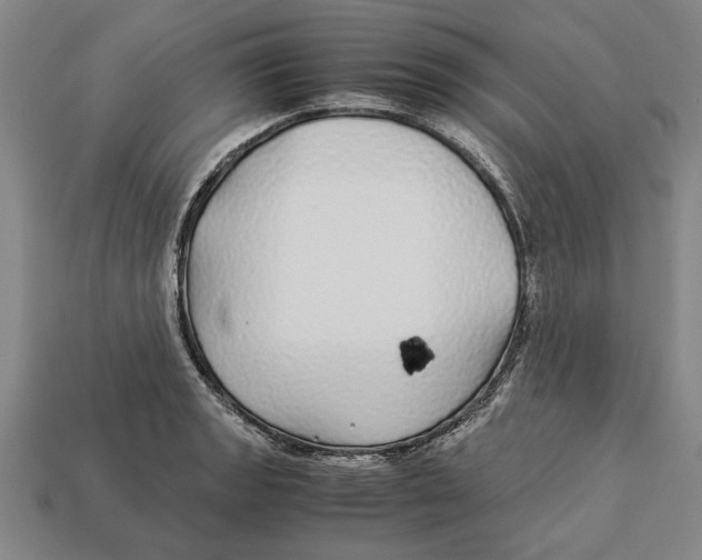 X0000113011133200909241346