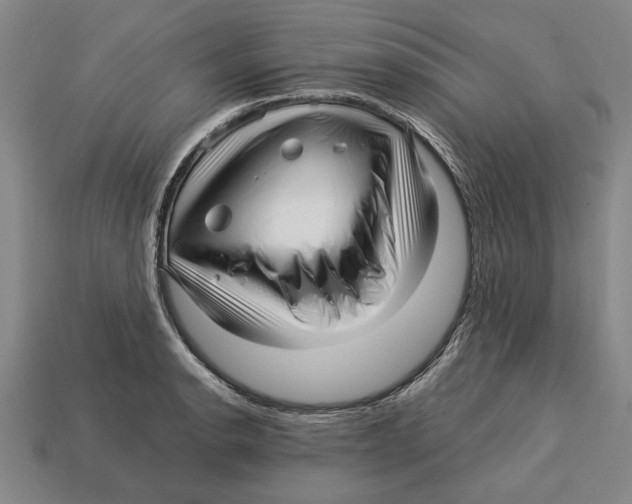 X0000113011134200909241346