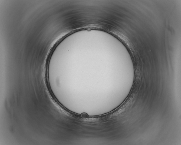 X0000113011135200909241346