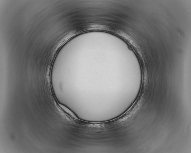 X0000113011137200909241346