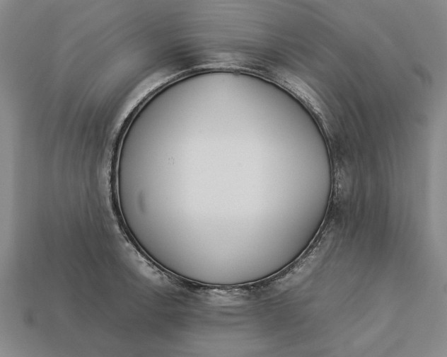 X0000113011138200909241346