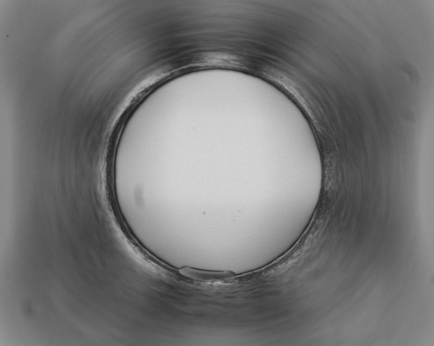 X0000113011139200909241346