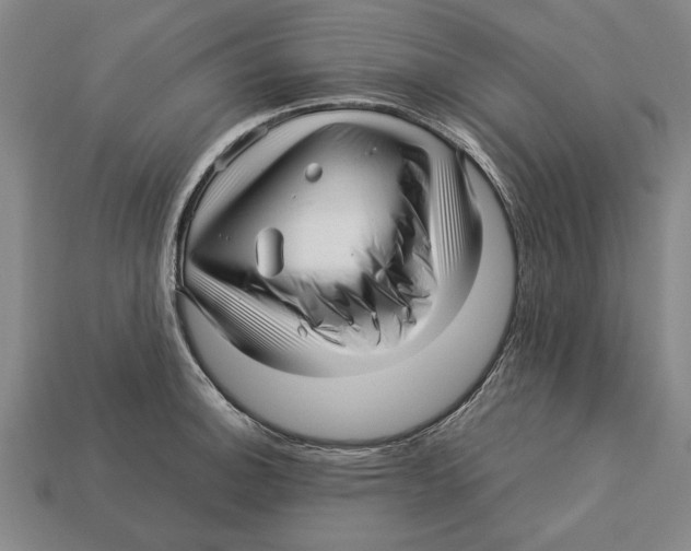 X0000113011140200909241346