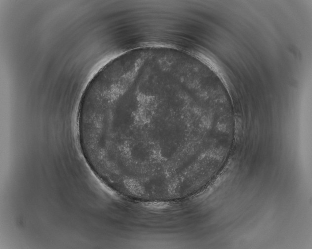 X0000113011141200909241346