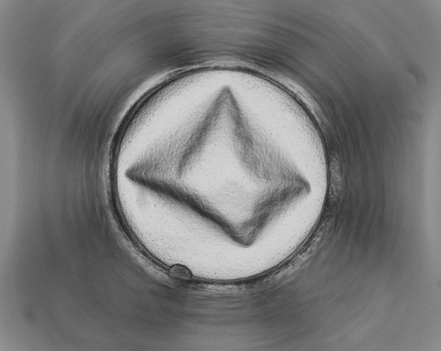X0000113011142200909241346