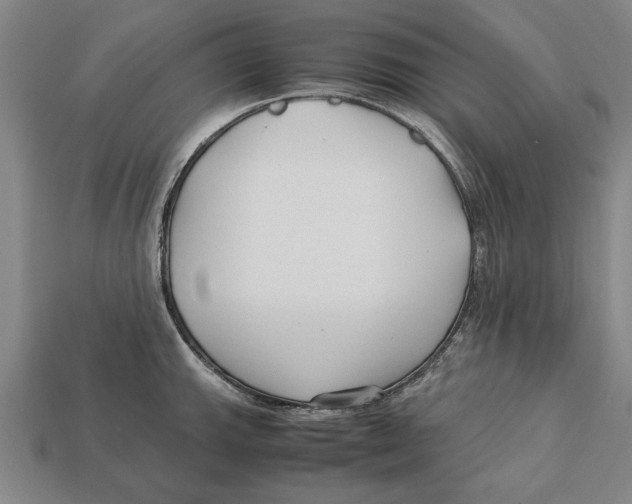 X0000113011143200909241346