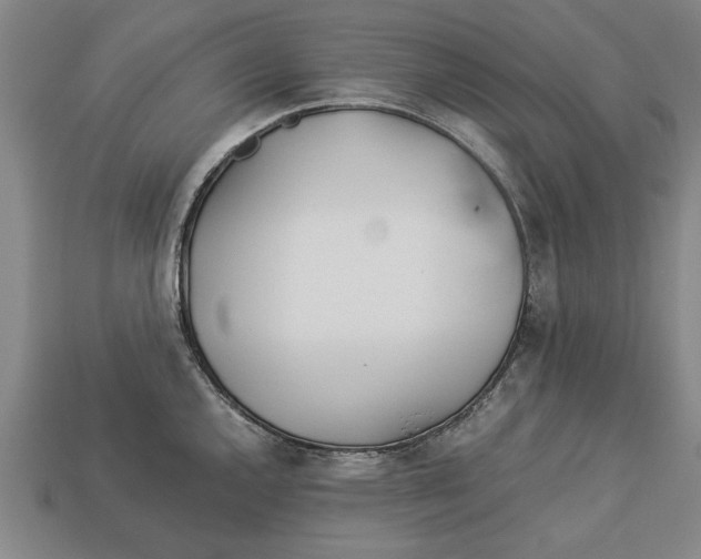 X0000113011144200909241346
