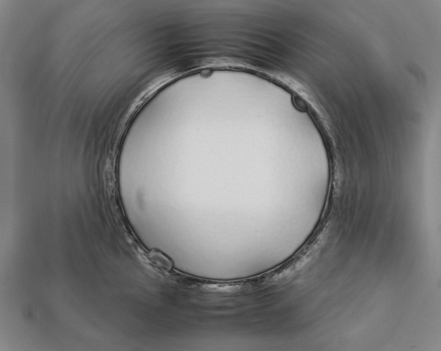 X0000113011145200909241346