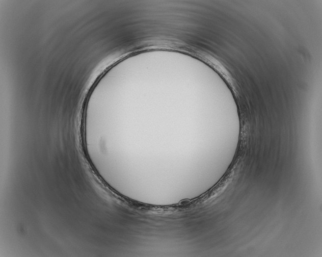 X0000113011146200909241346
