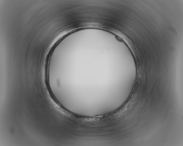 X0000113011147200909241346